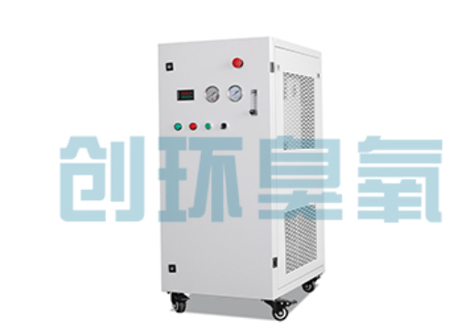 晋州石斑鱼养殖水质调控完整指南：臭氧发生器配置与操作步骤