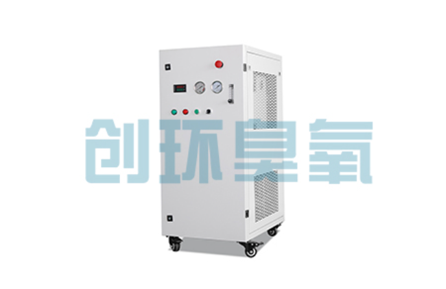 晋州比传统换水更高效？臭氧发生器在石斑鱼养殖中的水质净化原理解析